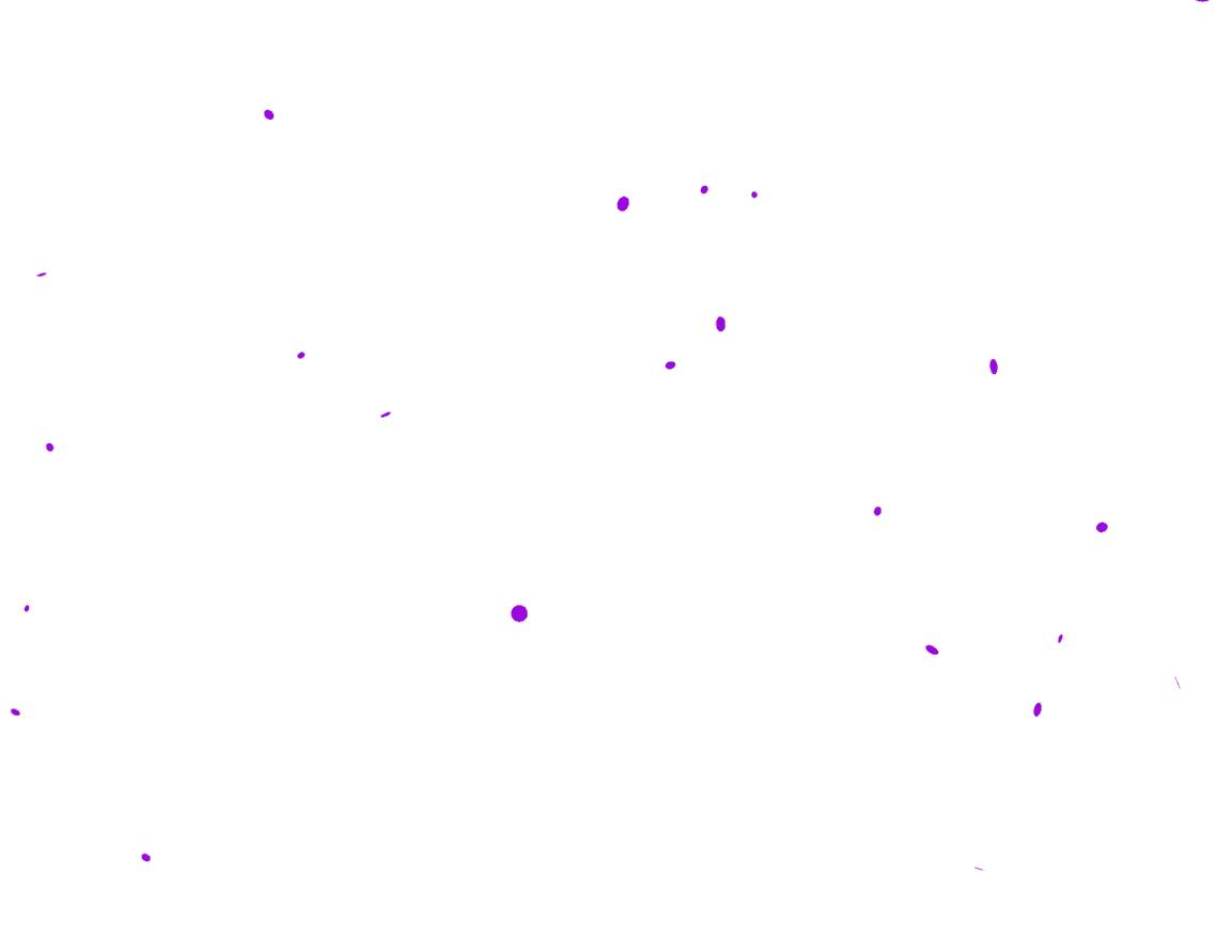 Invite Friends And Earn Rewards Olymptrade Invite Friends And Earn Rewards Olymptrade