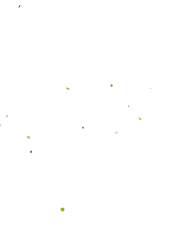 particles